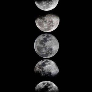 Meet your Posher, Joseline